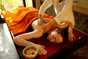 Ananda in the Himalayas, India