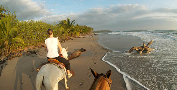 Horse Riding at Florblanca