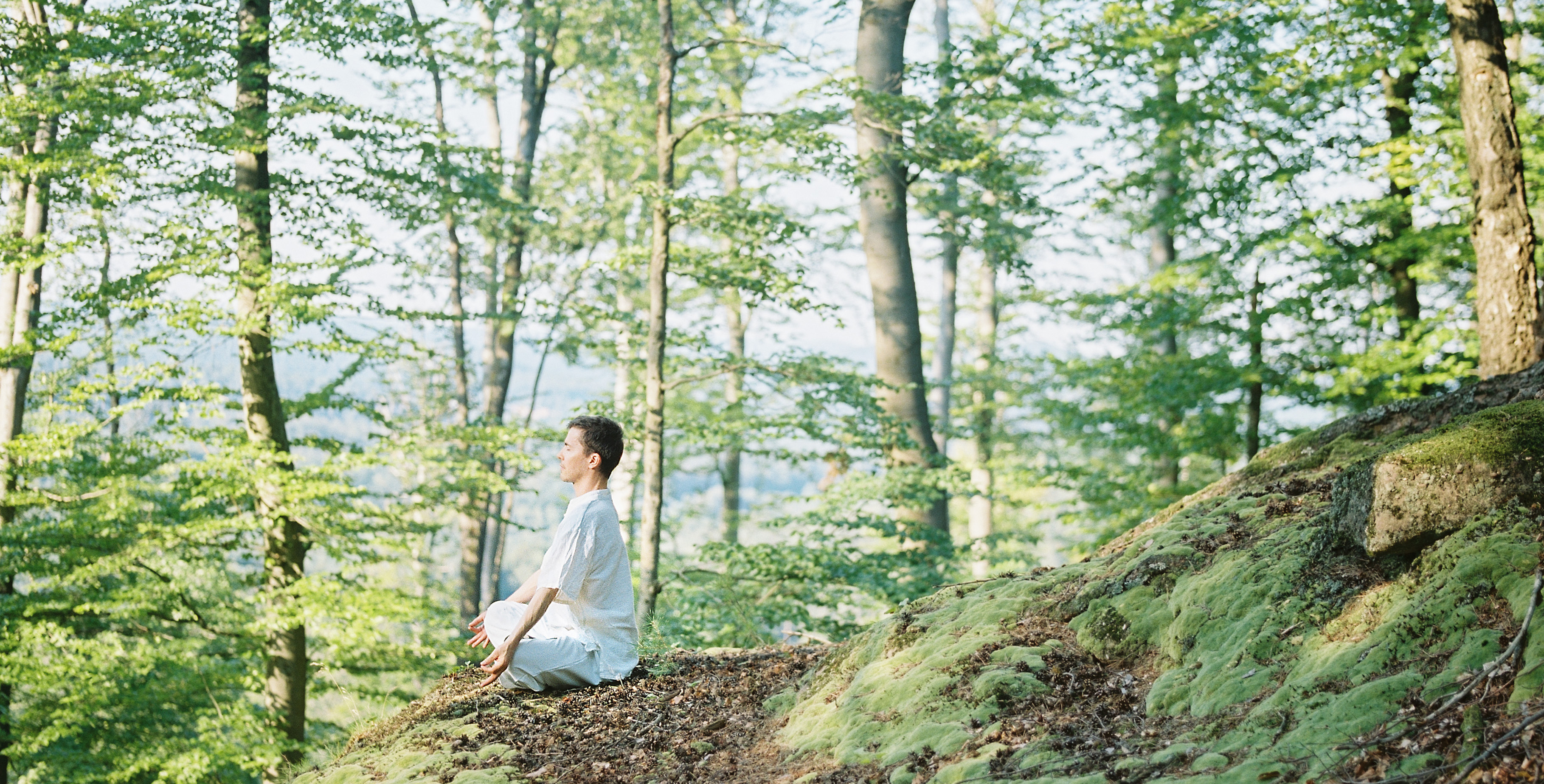 La Clairiére De-Stress