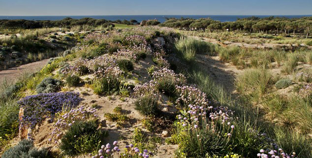 Oitavos mountains