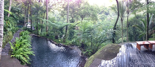 Como Shambhala Estate - Bali - Jungle view