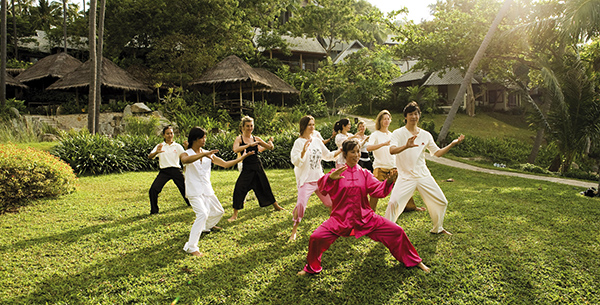 tai chi holistic fitness