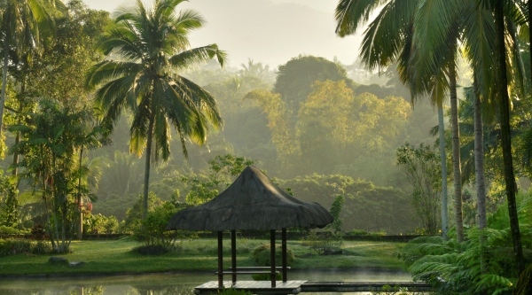 The fresh and organic environment at The Farm in the Philippines