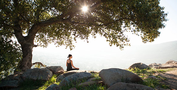 a moment of calm at Rancho La Puerta