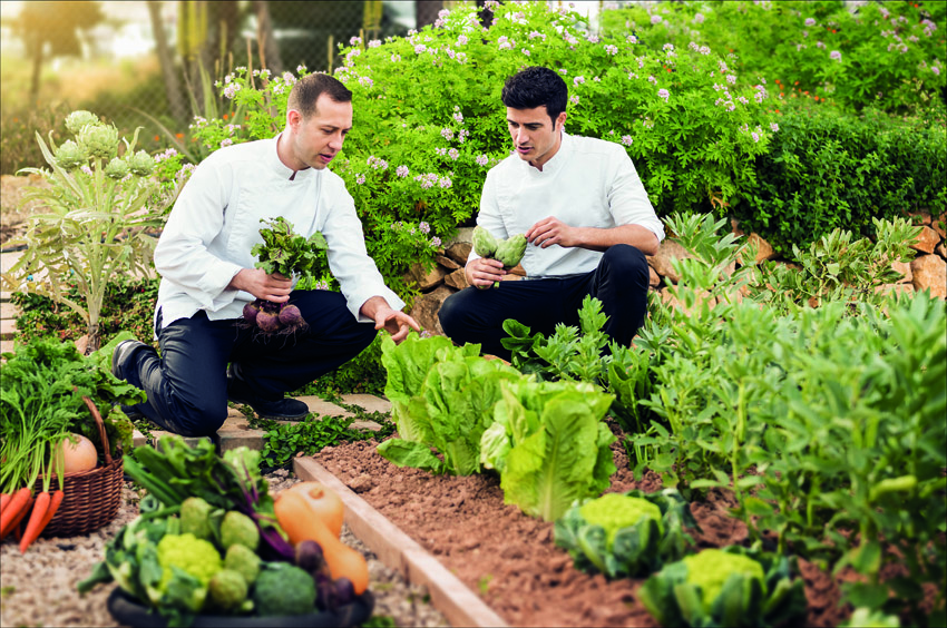 Organic Garden