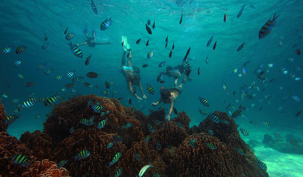 snorkelling Soneva Kiri