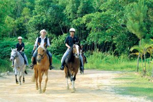 Group of people horse riding