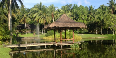 The-Farm-Big-lagoon-tropical.jpg