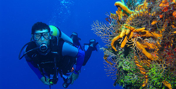 Scuba diving at COMO Parrot Cay