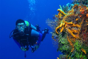 Man scuba diving underwater next to a bright and vivid coral reef