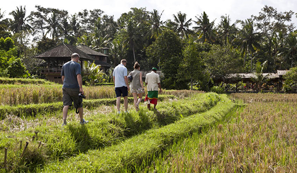 Jungle trekking in Bali