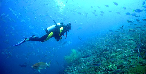 Scuba Diving at Zen Resort