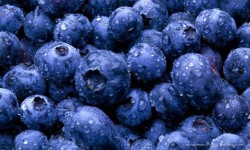 Superfood: Blueberries