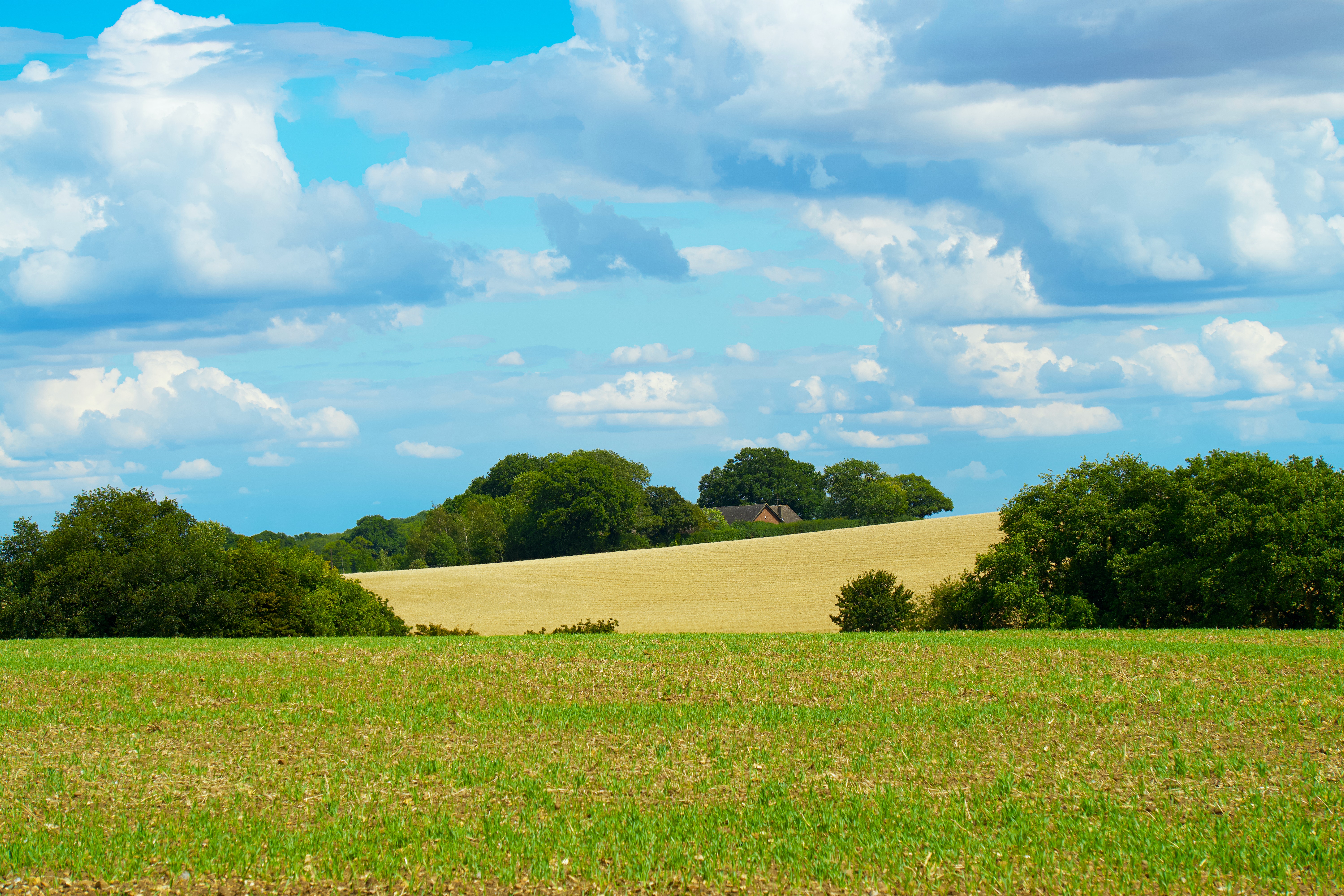 Picture of English countryside