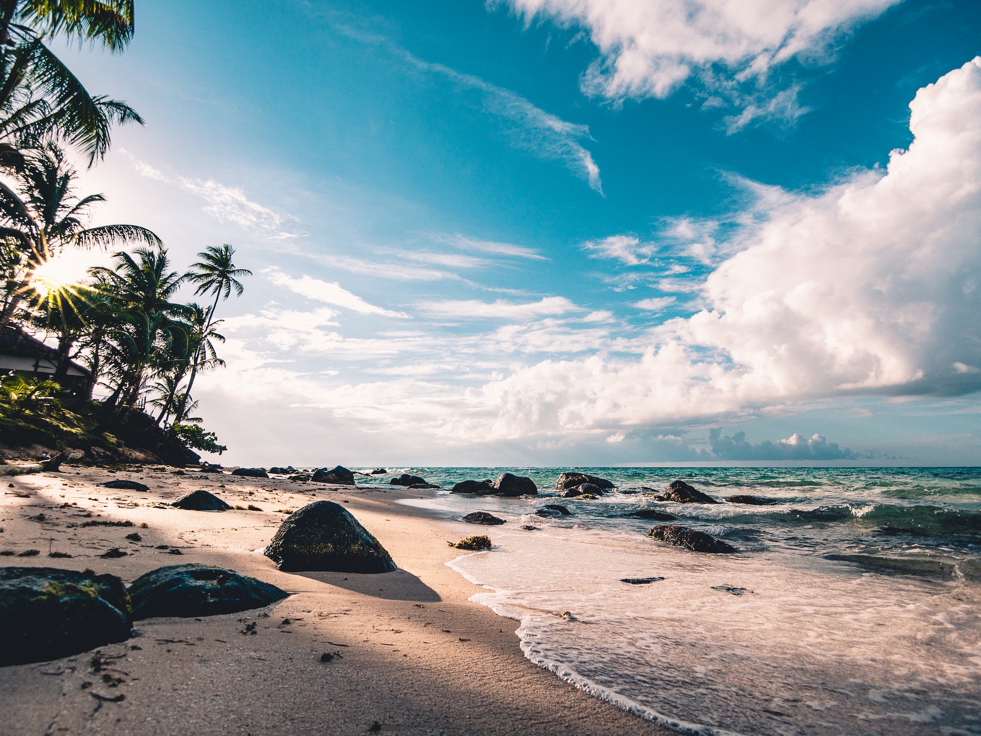 Beach landscape in Turks and Caicos