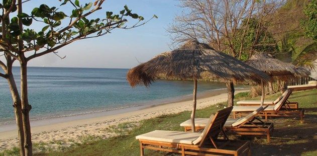 LaLuna Beach Loungers Blog Header