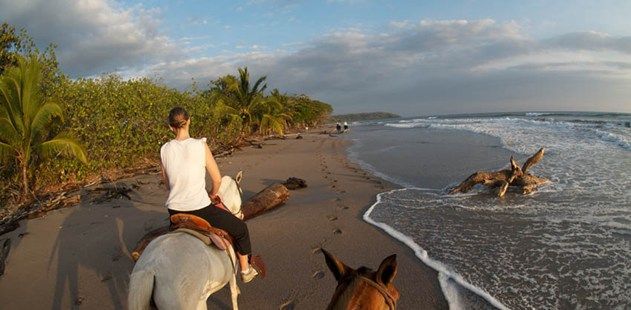 Florblanca Activities Horse Riding Blog Header