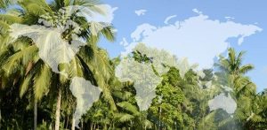 Introducing: The Ultimate Luxury Around the World Wellness Trip