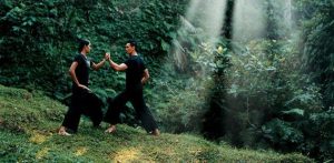 How to Stay Fit and Healthy whilst Travelling for Business