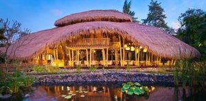 Fivelements: A Boutique Luxury Wellness Retreat in Ubud, Bali