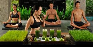 Sports Recovery & Reset Programme
