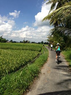 Como Shambhala Estate, Bali - Jungle Gym climbing