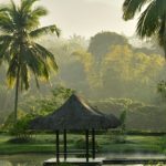 The fresh and organic environment at The Farm in the Philippines