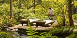 Win a Luxury Wellness Holiday for Two at COMO Shambhala Estate in Bali