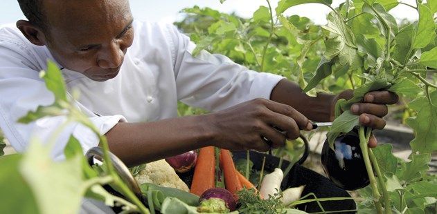 How Healthy Nutrition can help to Prevent Heart Disease