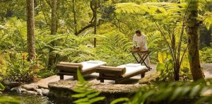 The Benefits of Panchakarma as Part of an Ayurvedic Detox
