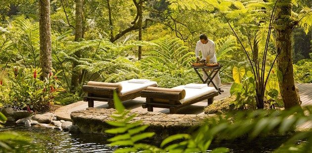 The Best Natural Wellness Treatments for Menopause Relief