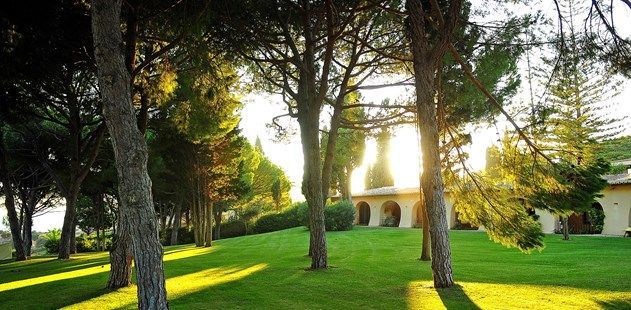 Longevity Gluten Header Blog Header