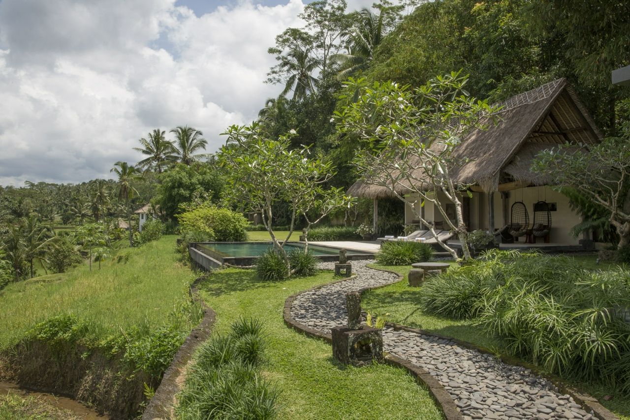 MesaStila jungle spa