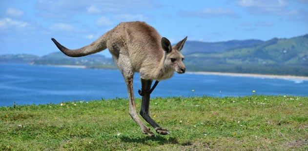 7105722637 Fe335376e4 B Blog Header