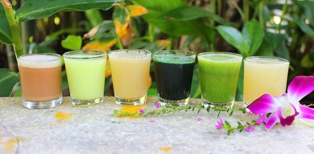 Top 10 Juice Detox Retreats