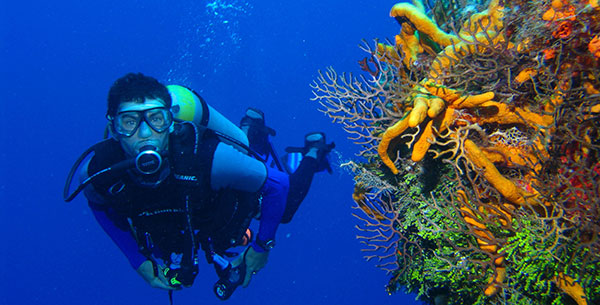 zen resort yoga diving