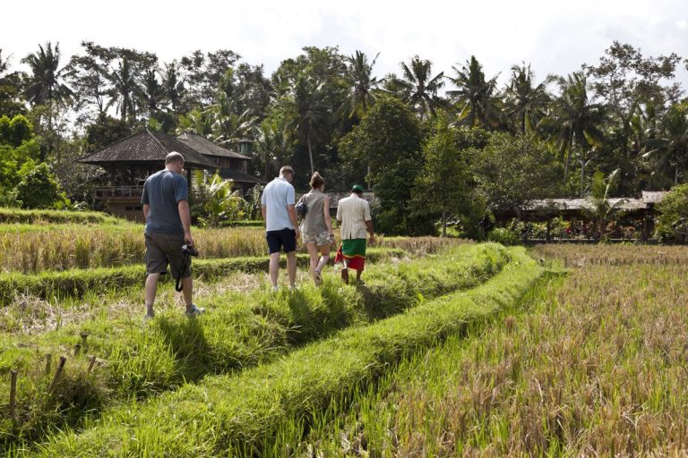 Bali Discover Recover™