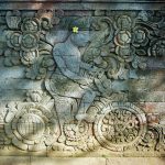 Bali Discover Recover™