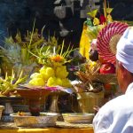 Bali Discover Recover™