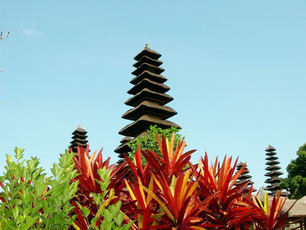 Bali Discover Recover™