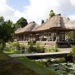 Bali Discover Recover™