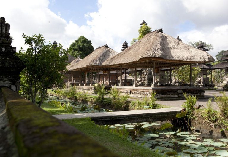 Bali Discover Recover™