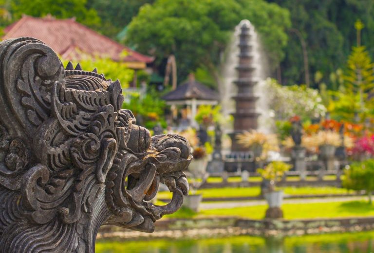 Bali Discover Recover™