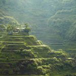 philippines rice terrace