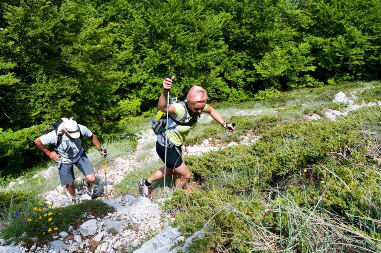 Croatia Discover Recover™