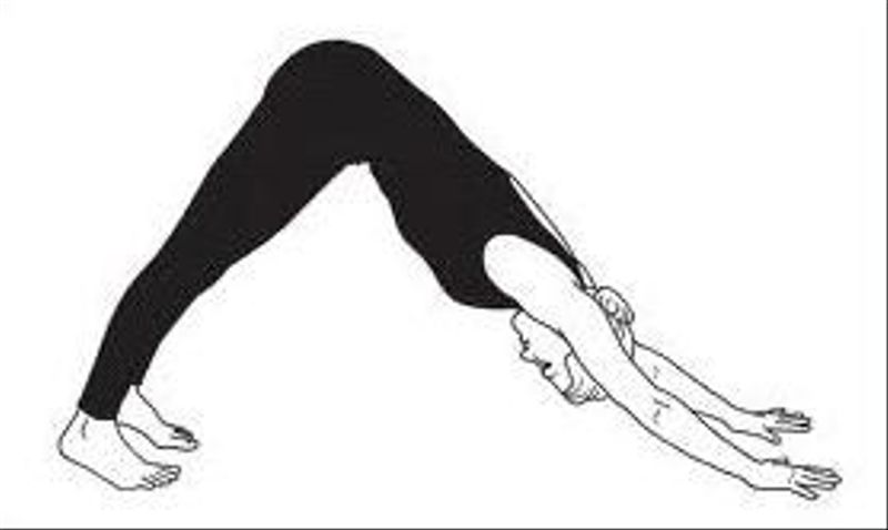 Downward Dog