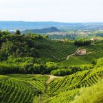 Italy Discover Recover™