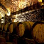 Italy Discover Recover™