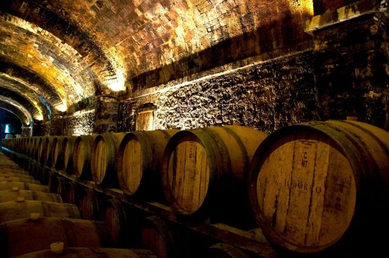 Italy Discover Recover™