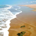 Morocco Discover Recover™